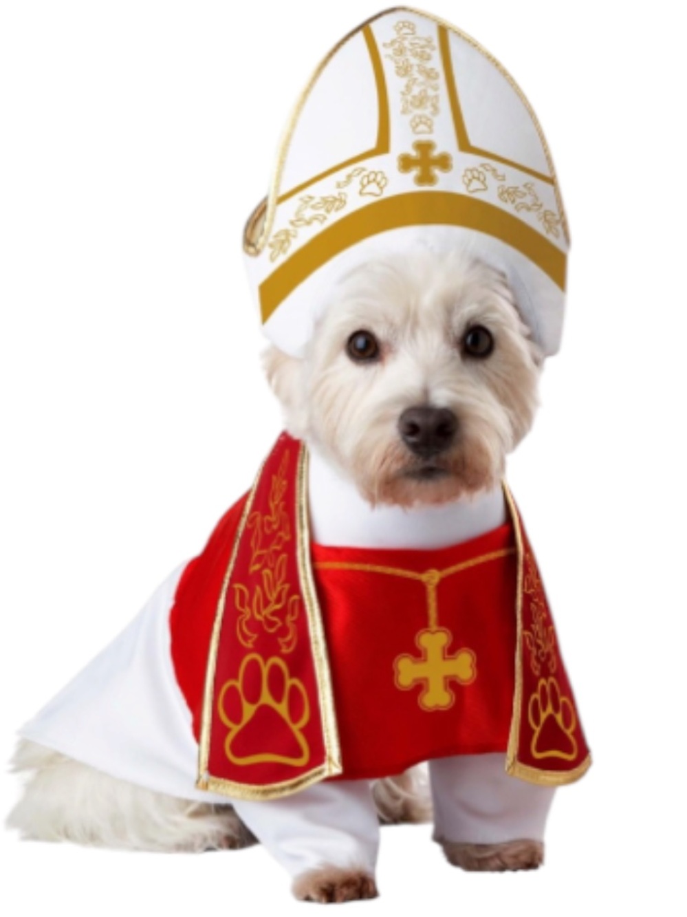 Holy Hound Catholic Pope Bishop Dog Cat Halloween Costume